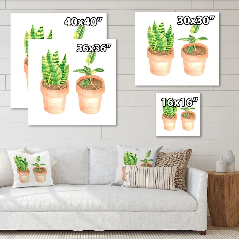 Designart - Sansevieria & Ficus Indoor Green Home House Plants