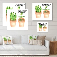 Designart - Sansevieria & Ficus Indoor Green Home House Plants