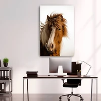 Sunset Light Canvas Giclee