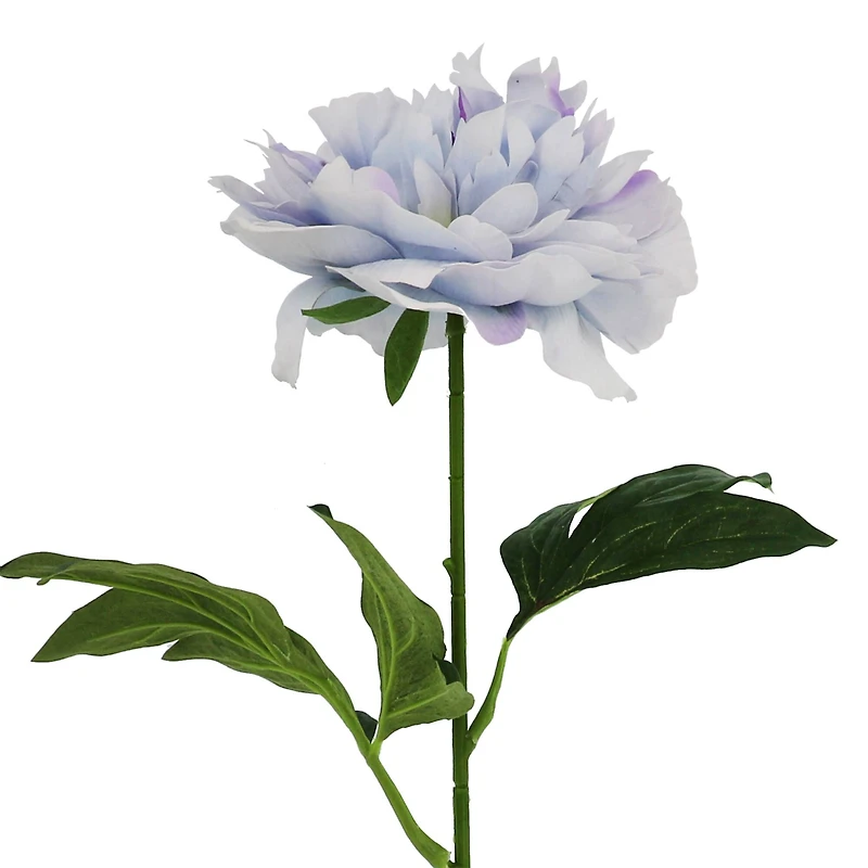 27" Light Blue Peony Real Touch Stem by Ashland®