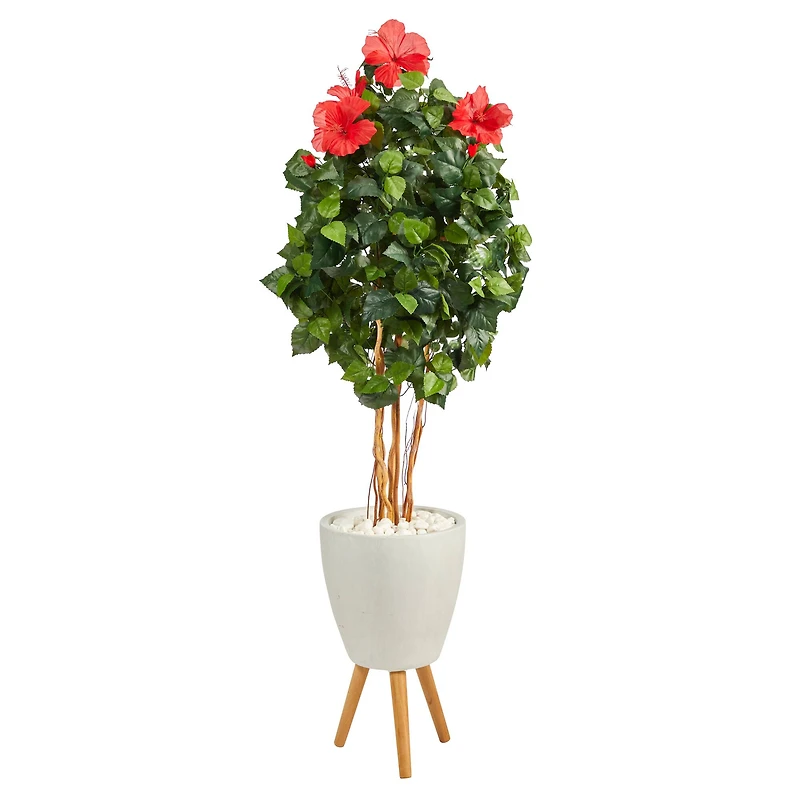 6ft. Hibiscus Tree in White Planter with Stand