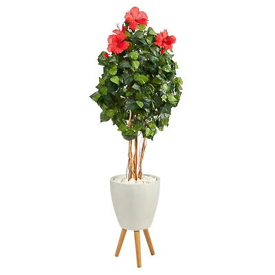 6ft. Hibiscus Tree in White Planter with Stand