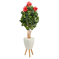 6ft. Hibiscus Tree in White Planter with Stand