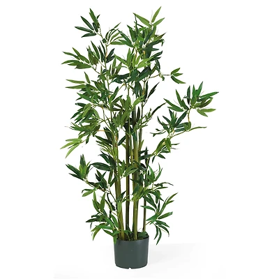 4ft. Potted Bamboo Plant