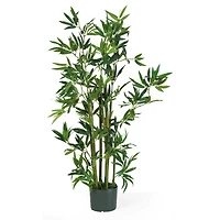 4ft. Potted Bamboo Plant