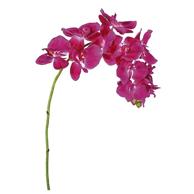 24 Pack: Pink Moth Orchid Spray