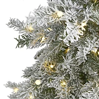 5ft. Pre-Lit Nova Scotia Spruce Artificial Christmas Tree, Warm White LED Lights