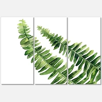 Designart - Fern Leaves Detail I