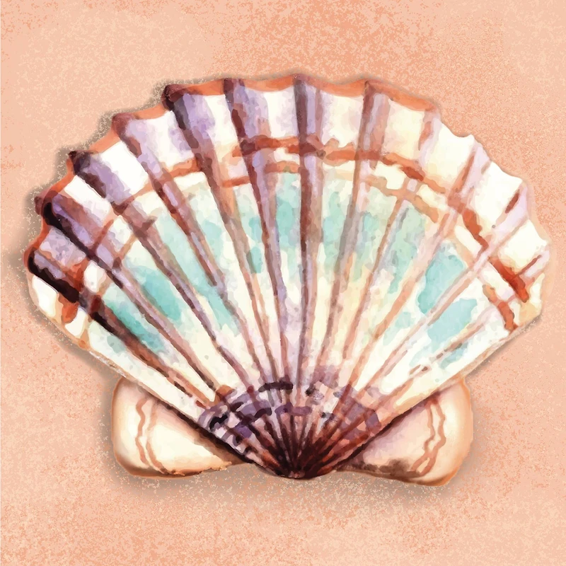 4" x 4" Seashell Canvas Painting Kit by Craft Smart®