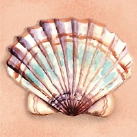 4" x 4" Seashell Canvas Painting Kit by Craft Smart®