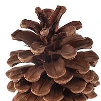 Pinecone Bag by Ashland®