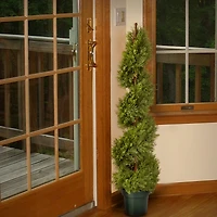 4ft. Juniper Slim Spiral Topiary with Green Pot