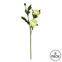 6 Pack: Lime Peony Spray