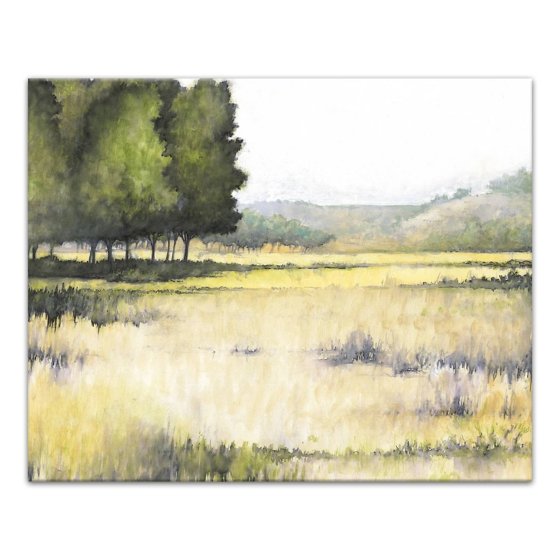 Peaceful Meadow 20" x 16" Canvas Wall Art