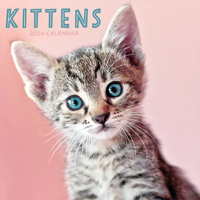 TF Publishing Kittens Wall Calendar
