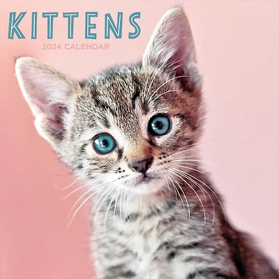 TF Publishing Kittens Wall Calendar