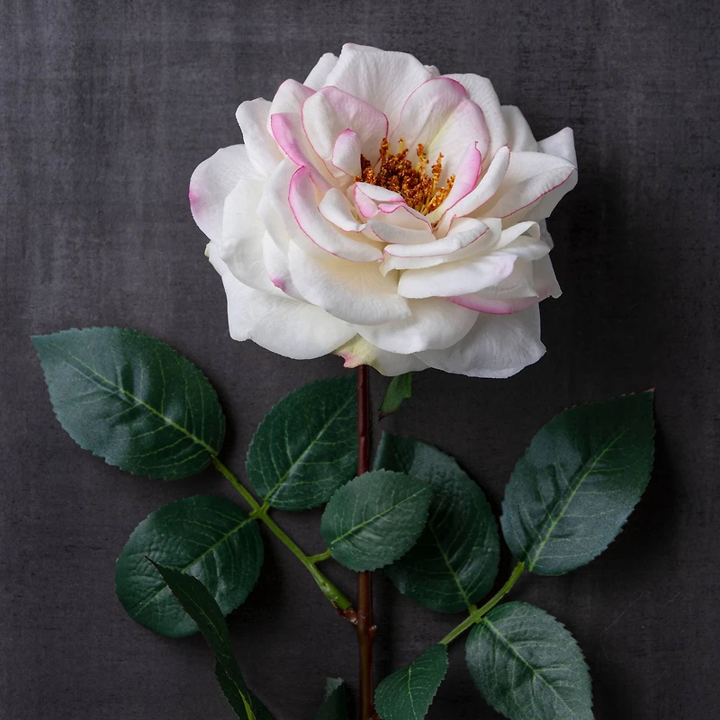 12 Pack: Cream Hydrangea Stem by Ashland®