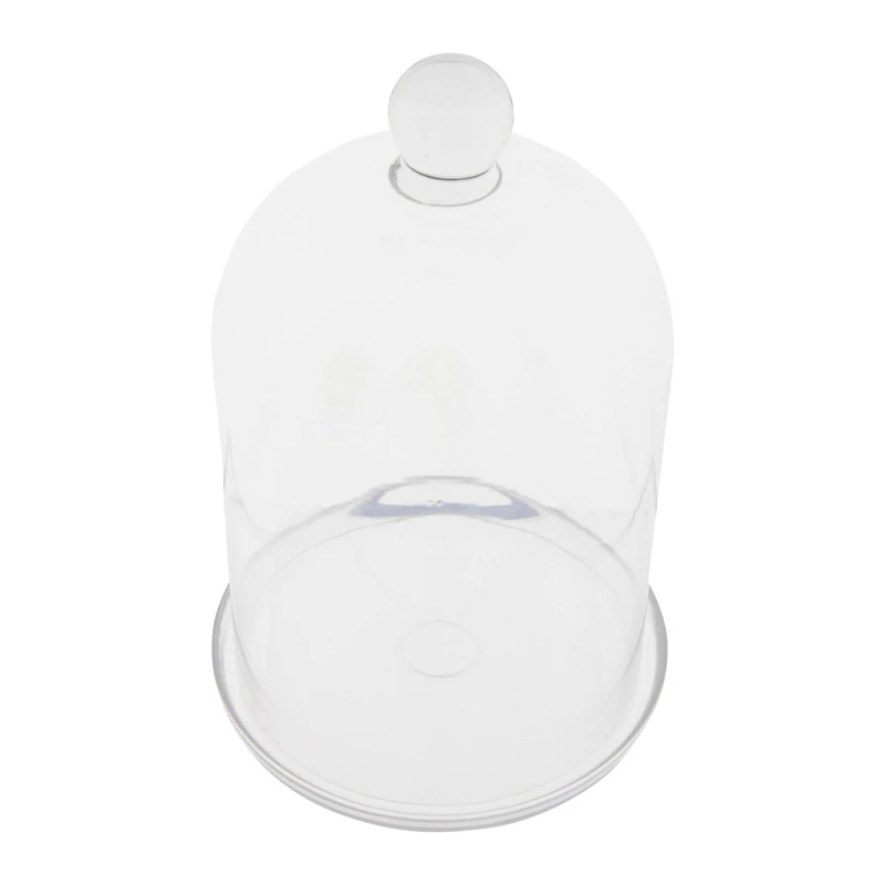 Hello Honey® Glass Cloche with Clear Glass Plate Set