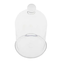 Hello Honey® Glass Cloche with Clear Glass Plate Set