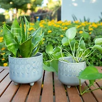 Flora Bunda® Glass Blue Small Moon Phase Footed Planter Set