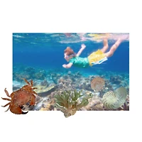 Shell Stickers by Recollections™