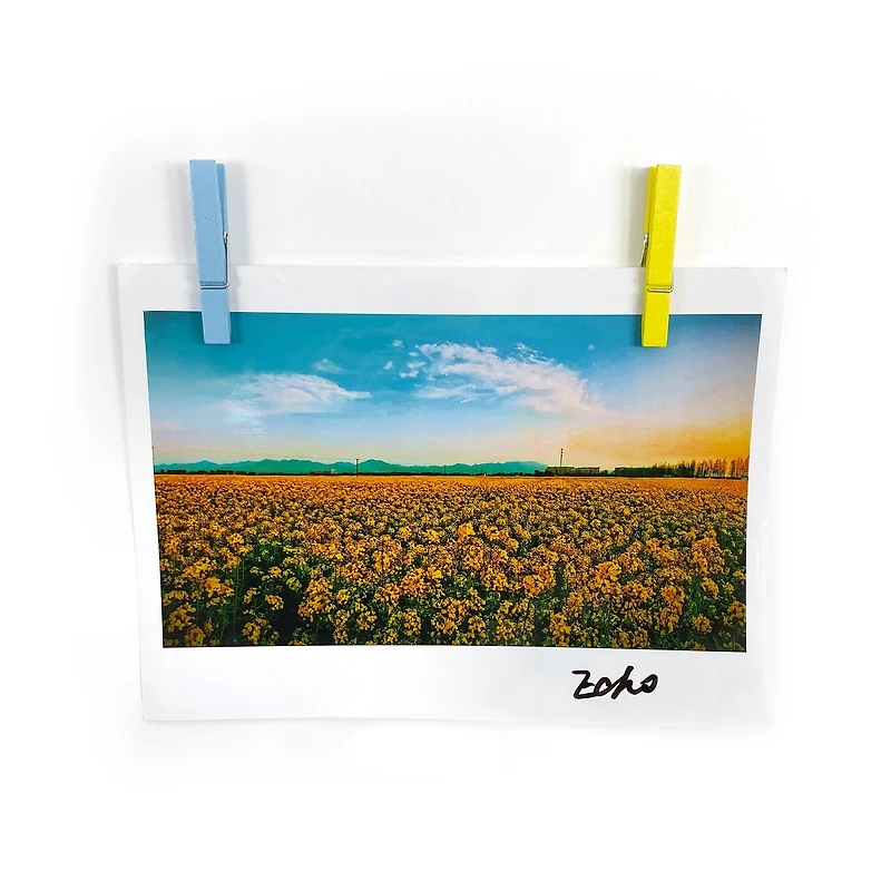 Medium Pastel Clothespins by Recollections™