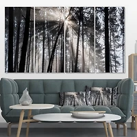 Designart - Sunbeams through Black White Forest