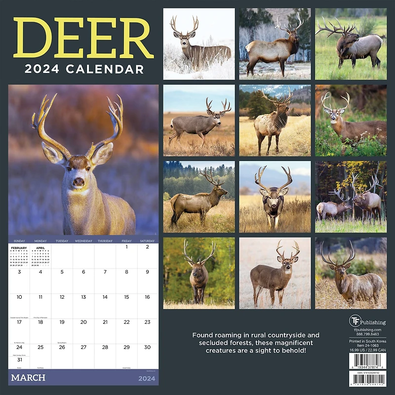 TF Publishing 2024 Deer Wall Calendar