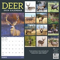 TF Publishing 2024 Deer Wall Calendar