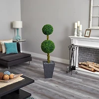 5ft. Double Ball Boxwood Topiary Tree in Slate Planter