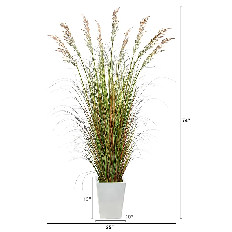 6ft. Grass Plant in White Metal Planter