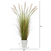 6ft. Grass Plant in White Metal Planter
