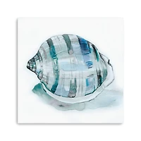 Le Coquillage I Canvas Giclee