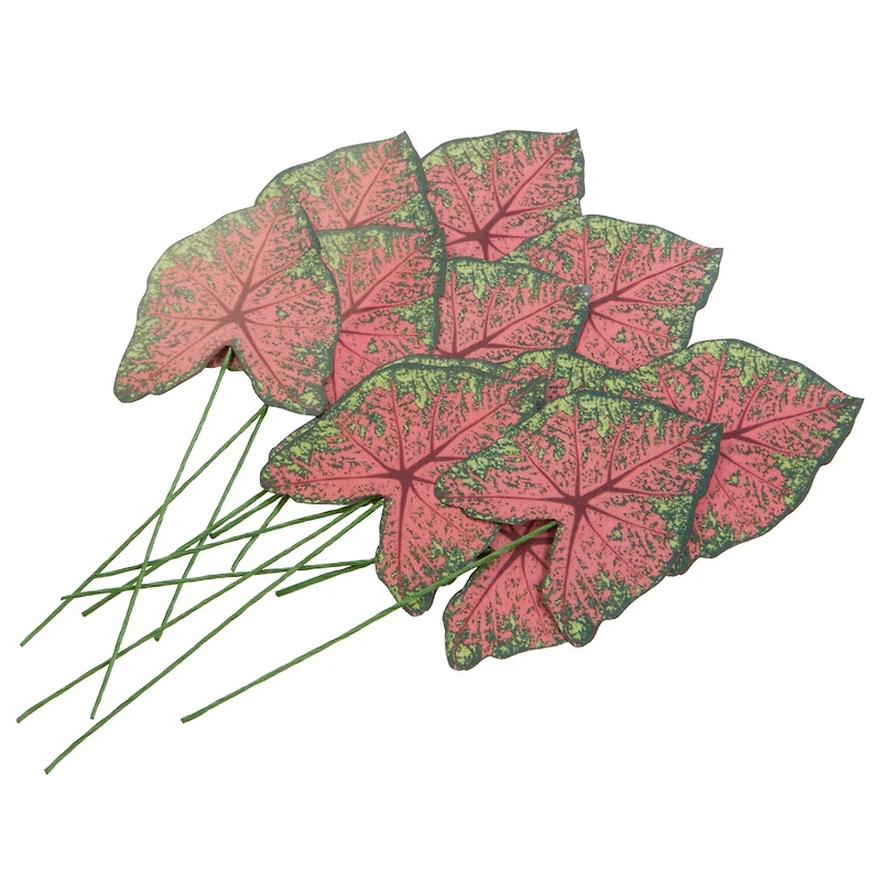 Green & Pink Paper Caladium Leaves by Recollections™