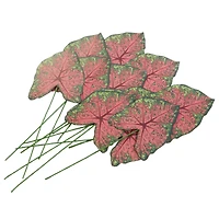 Green & Pink Paper Caladium Leaves by Recollections™