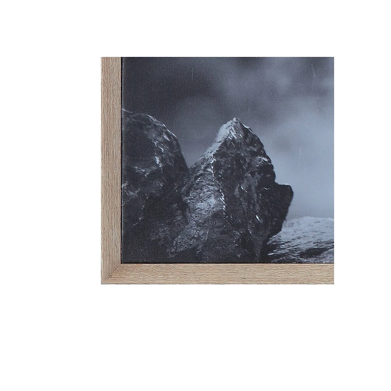 Hello Honey® Black & White Donkey on Canvas Wood Framed Wall Décor