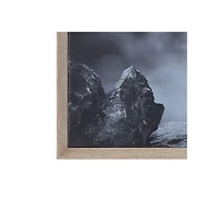 Hello Honey® Black & White Donkey on Canvas Wood Framed Wall Décor