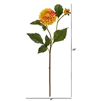 19" Dahlia Stem