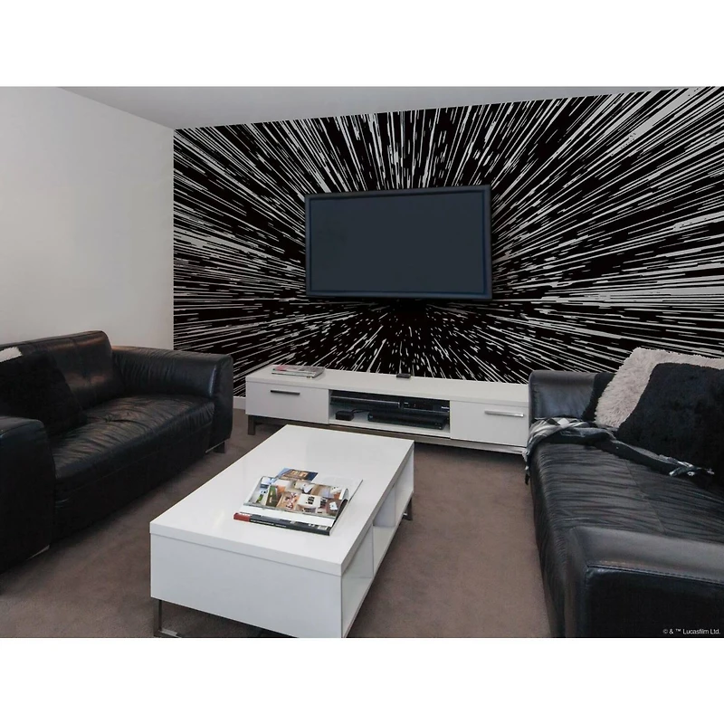 RoomMates Hyper Space Peel & Stick Mural