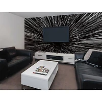 RoomMates Hyper Space Peel & Stick Mural