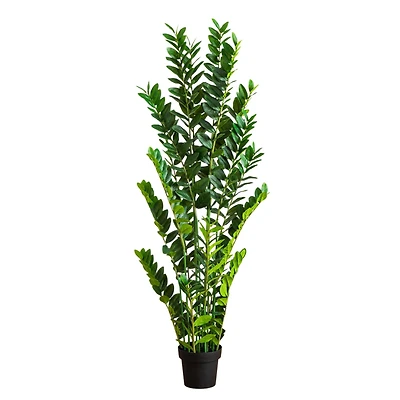 5ft. Artificial Zamioculcas Plant