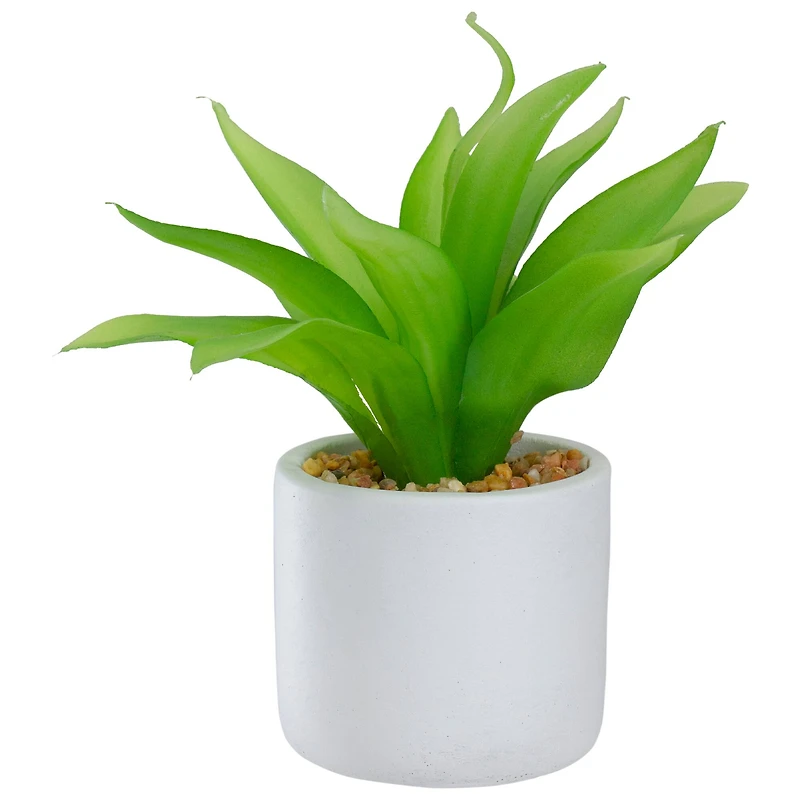 8" Green Aloe Plant in White Pot