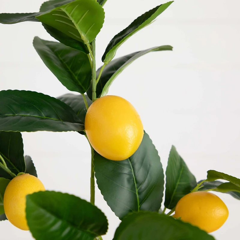 28" Lemon Branch Stems, 3ct.