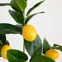 28" Lemon Branch Stems, 3ct.