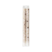 10" Birch Taper Candles, 2ct. by Ashland®
