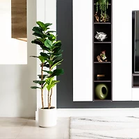 5ft. Fiddle Leaf Tree in Decorative White Planter