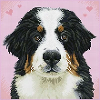 Diamond Dotz® Intermediate Say Hello to Zuzu Pre-Framed Diamond Painting Kit