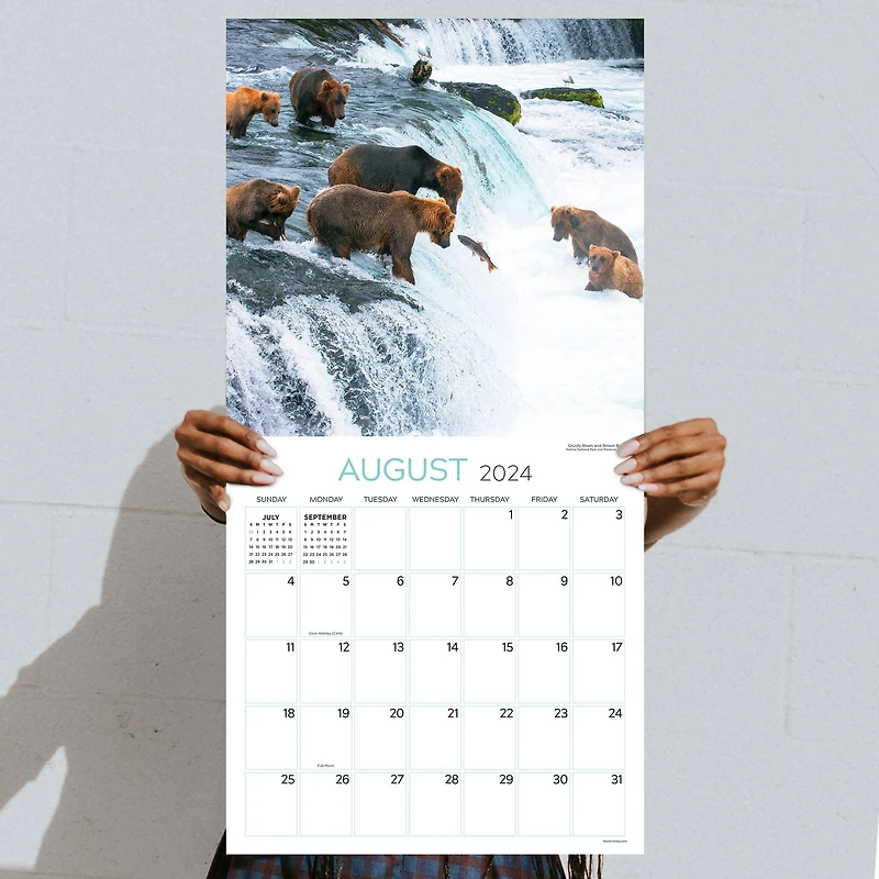 TF Publishing 2024 Wild Wall Calendar