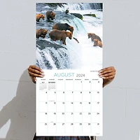 TF Publishing 2024 Wild Wall Calendar