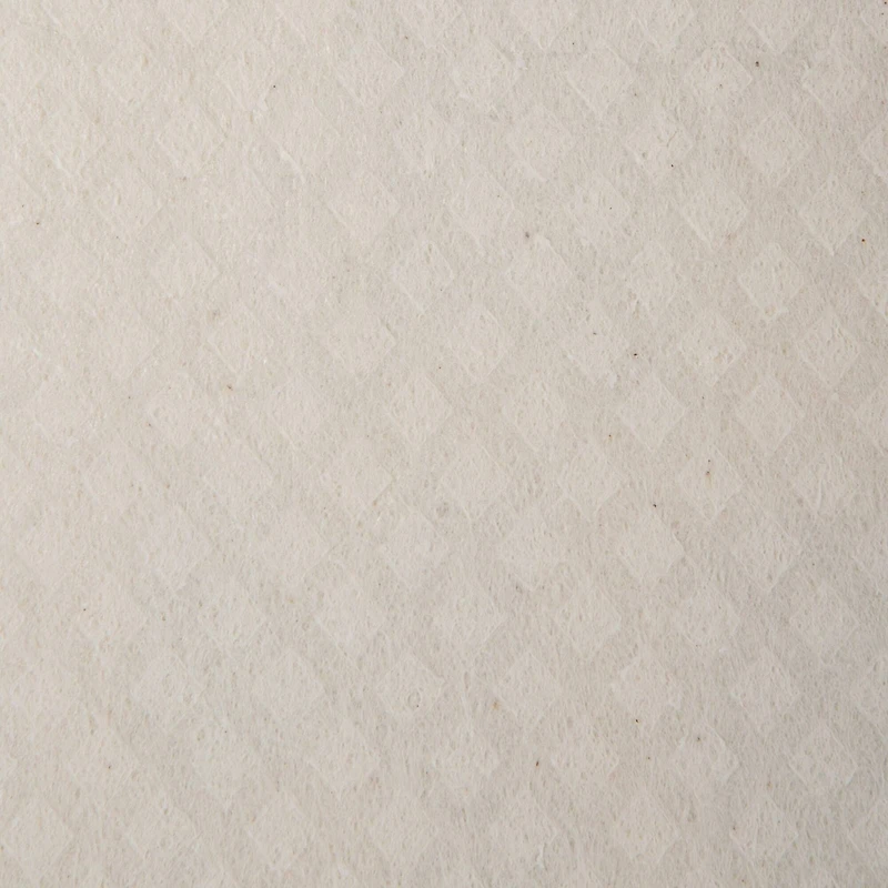 DII® Succulents Swedish Dishcloth, 3ct.